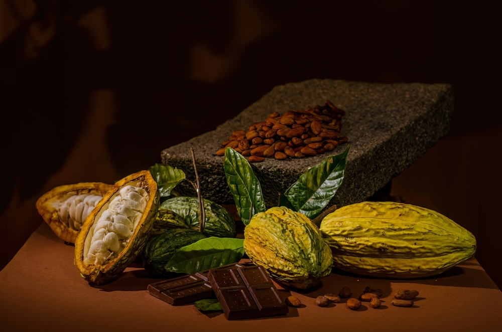 Composition,Of,Cocoa,Fruits,,Roasted,Seeds,And,Processed,Cocoa,In