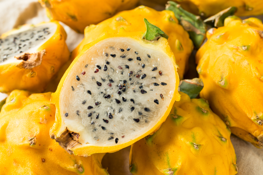 pitahaya